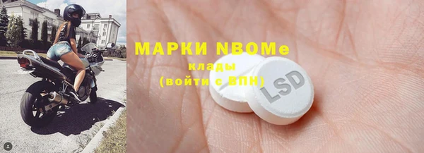 индика Аркадак