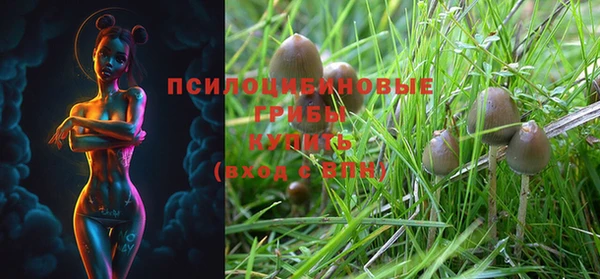 гашиш Переславль-Залесский