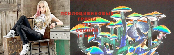 индика Аркадак