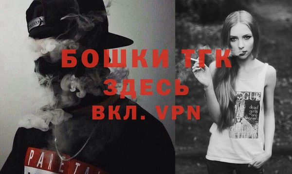 индика Аркадак